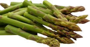 Asparagus Adscendens, Safed Musli Benefits, Aphrodisiac Herb
